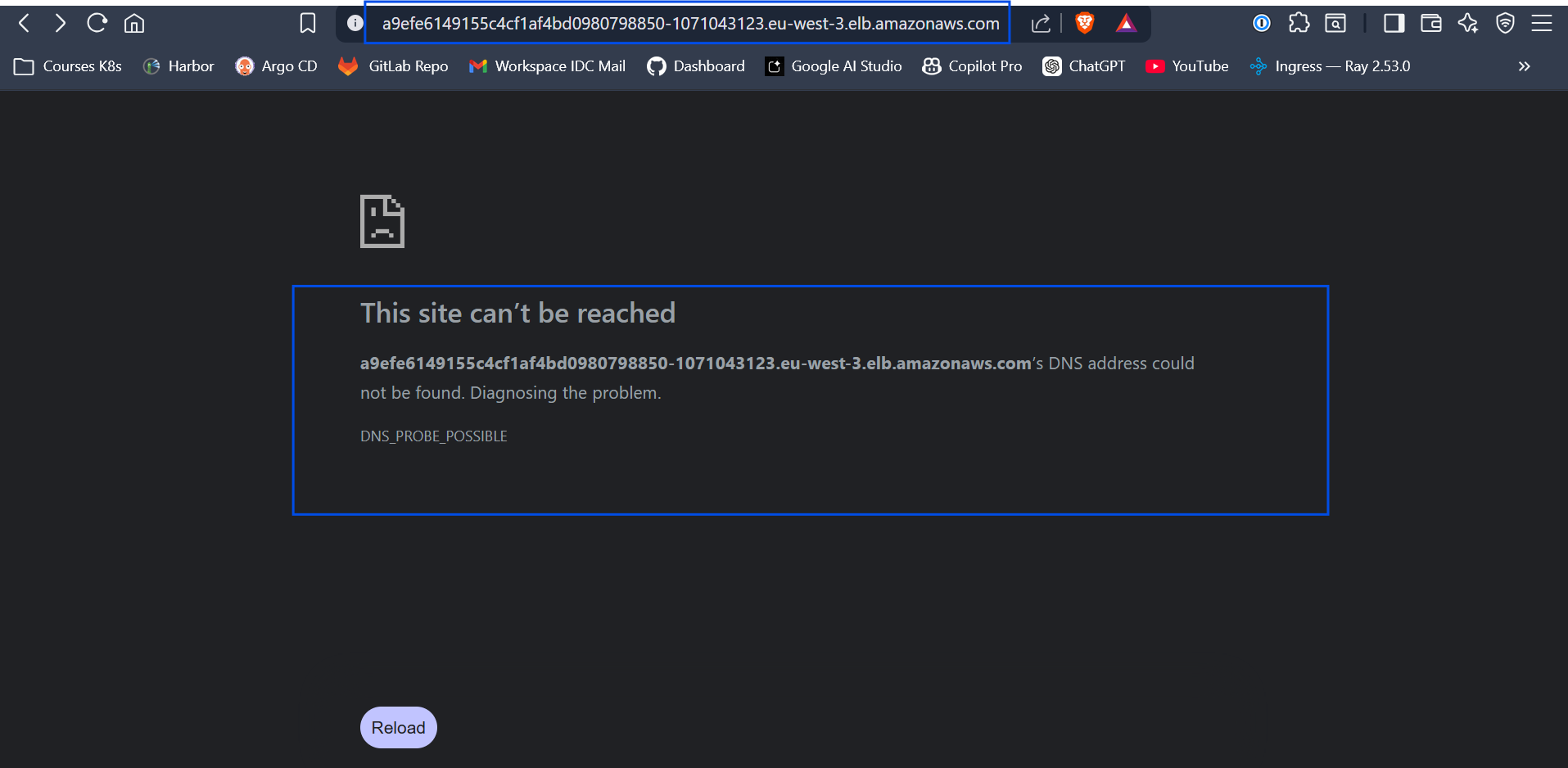 The browser showing the DNS_PROBE_POSSIBLE browser error
